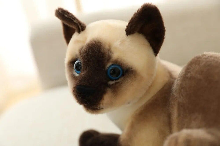 25-40 cm Simulation Cat Plush Toys American Shorthai Siamese Kitty Cute Pet Doll Stuffed Animal Children Home Decor Baby Gift - Brand My Case