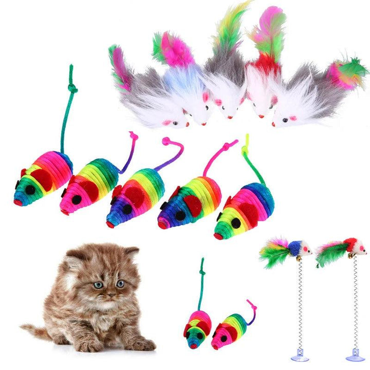 5 Piece Cat Toys for Bonding w/ Cats - Brand My Case