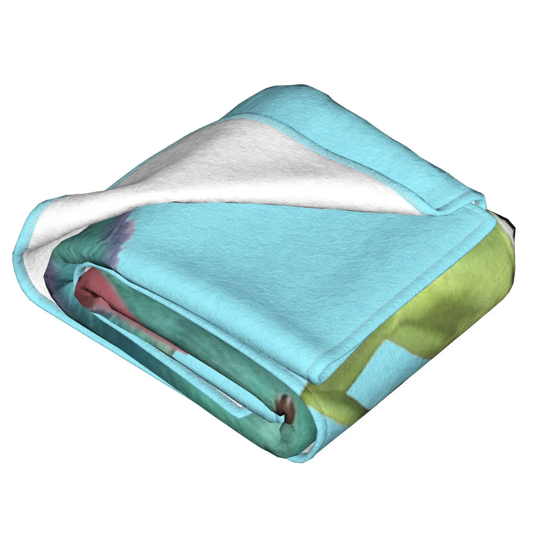 Paddy's Day Green Things  Monsters Inc Movie Blankets  Flannel Awesome Warm Throw Blanket for Chair Covering Sofa  Winter