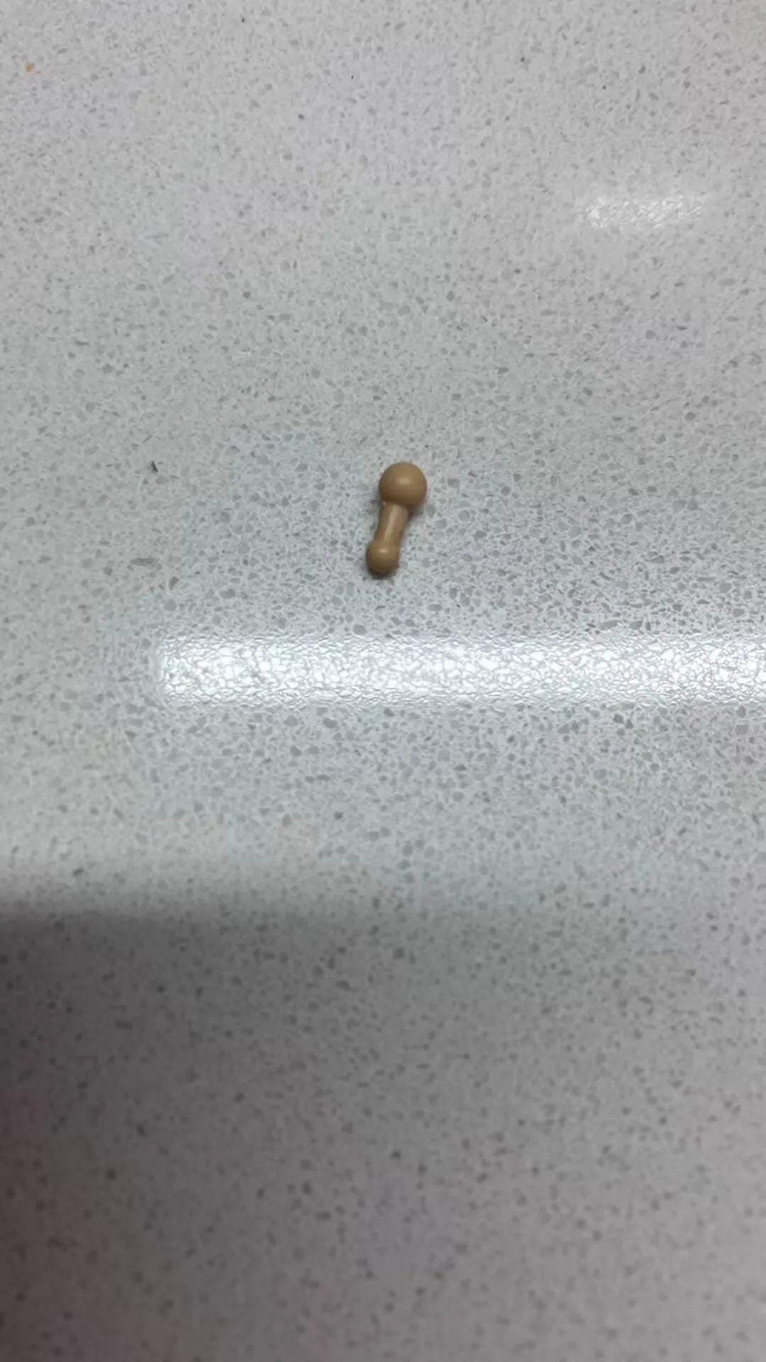 In Stock Dragon Ball Heads Accessories Shf Super Saiya Ssj2 Goku Anime Action Figurine Collection Model Toys Gift