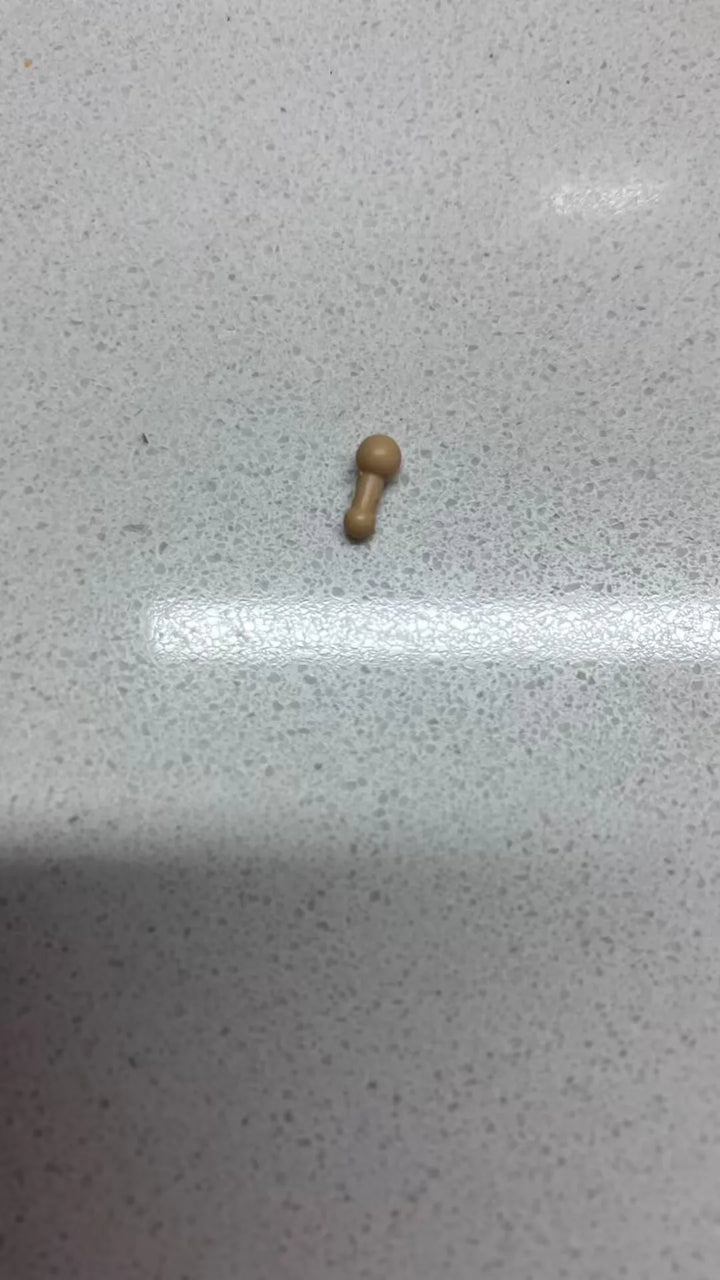 In Stock Dragon Ball Heads Accessories Shf Super Saiya Ssj2 Goku Anime Action Figurine Collection Model Toys Gift