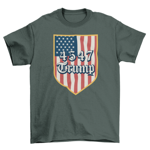 Trump and American Flag Symbolic t-shirt