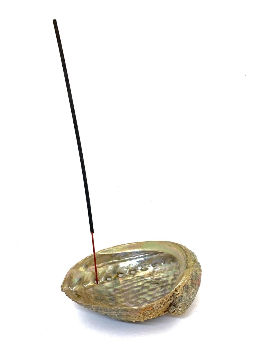 Abalone Shell Incense Holder - Brand My Case