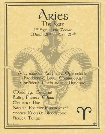 Aries zodiac poster - Brand My Case