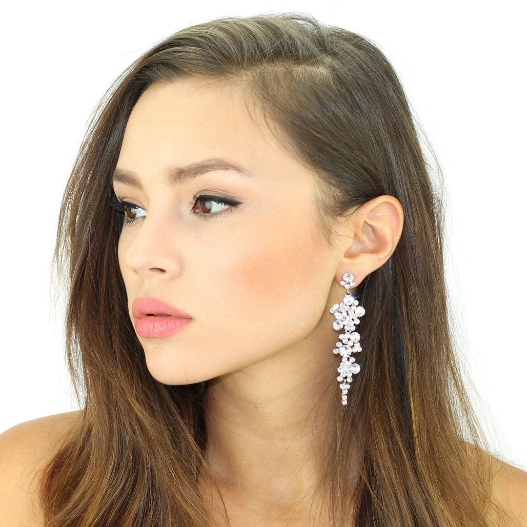 Cascading Crystals Earrings - Brand My Case