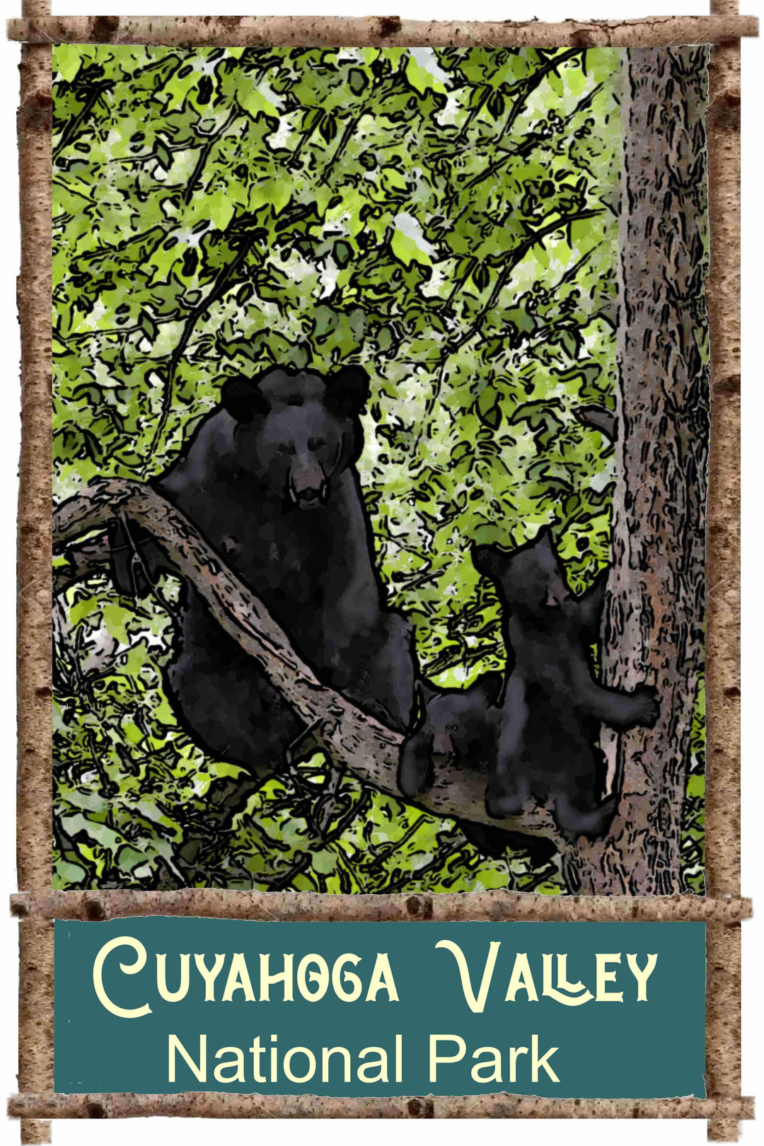 Cuyahoga Valley National Park Bear Art Travel Poster - Brand My Case