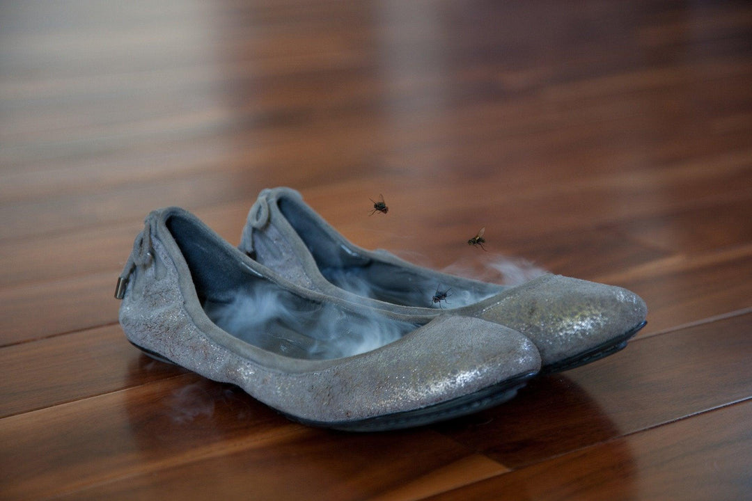 Flat Liners: activated carbon shoe odor killers - Brand My Case
