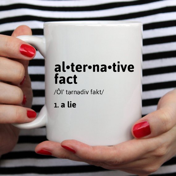 Alternative Fact Mug, Political Mug, Anti Trump