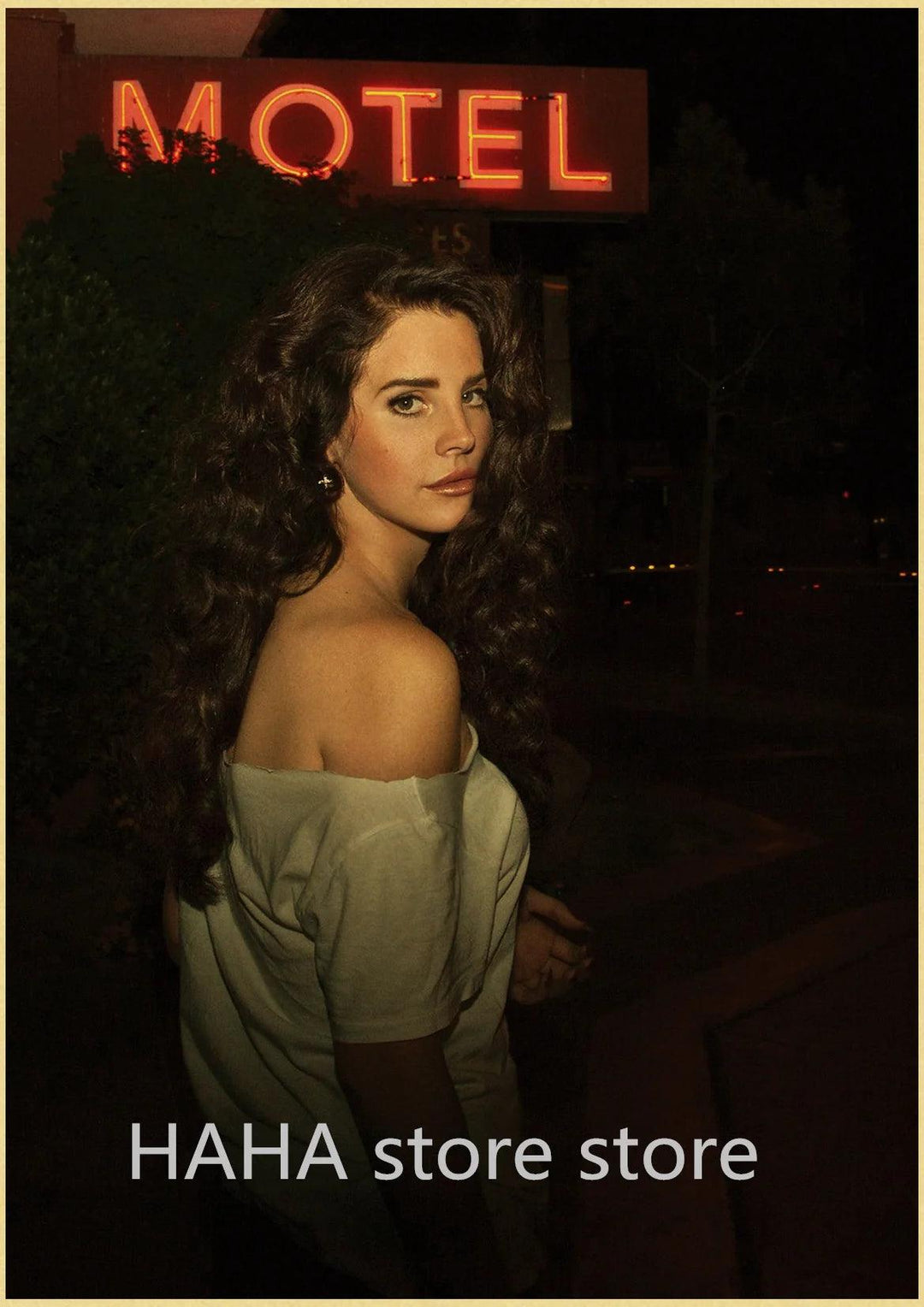 Lana Del Rey Music Posters - Retro Wall Art Prints - Home Decor - Brand My Case