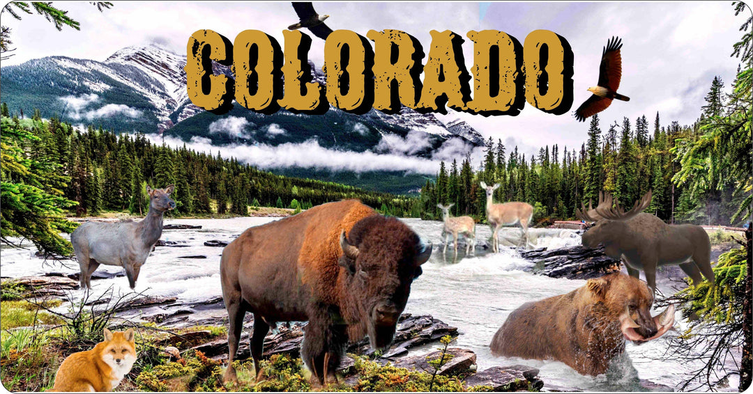 License Plate Travel Poster Art Wilf Life Colorado - Brand My Case
