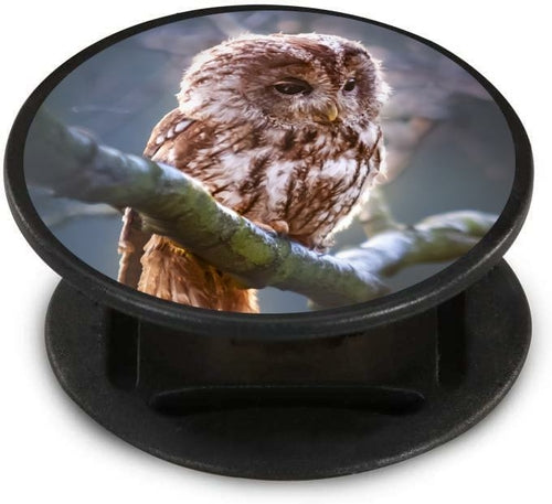 Moonlit Owl Nuckees