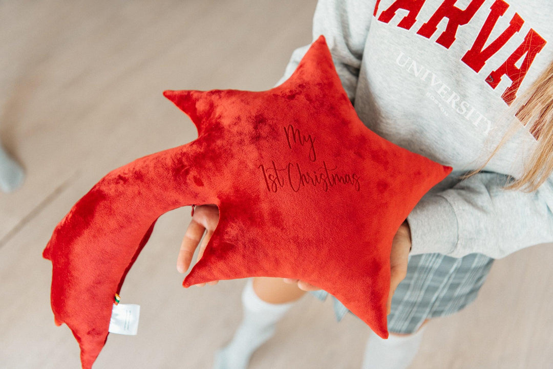 Personalized cushion "Shooting star" , red - Brand My Case