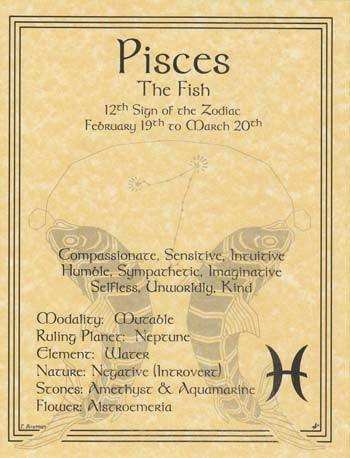 Pisces zodiac poster - Brand My Case