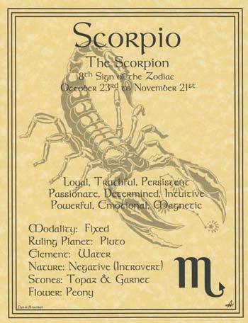 Scorpio zodiac poster - Brand My Case