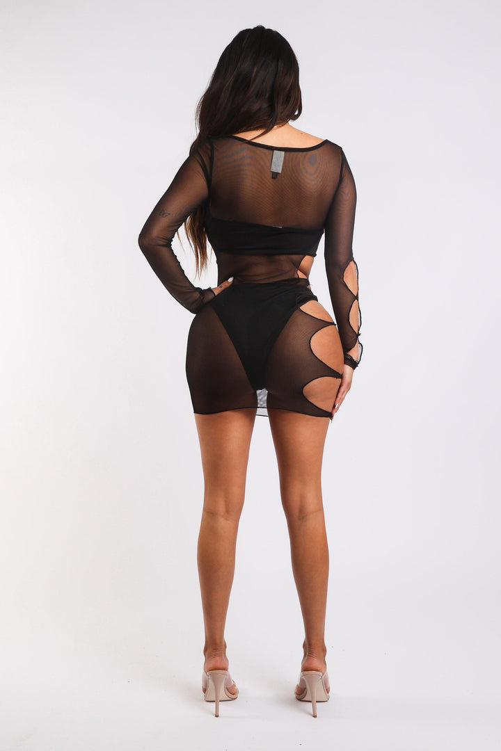 Sexy Cut Out Detailed Long Sleeve Mesh Sheer Dress BLACK - Brand My Case