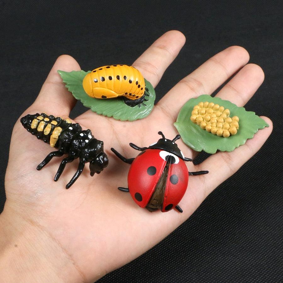 Simulation Animals Growth Cycle Butterfly,Ladybug,Chicken Life Cycle Figurine Plastic Models Action Figures Educational Kids Toy - Brand My Case