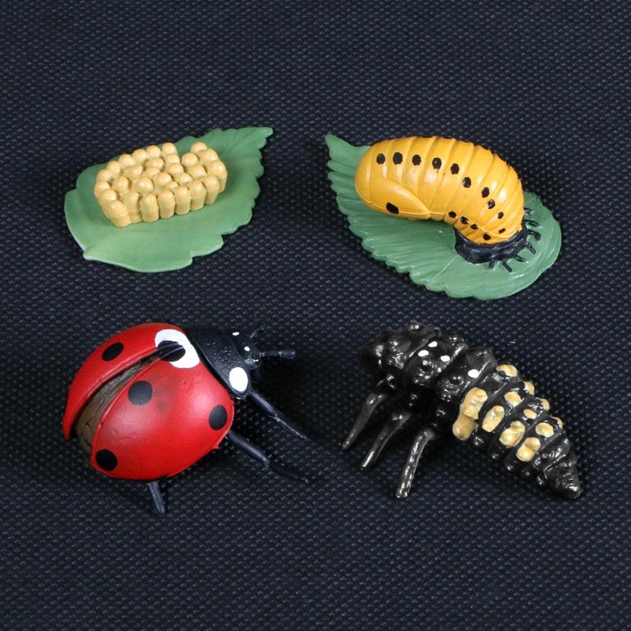 Simulation Animals Growth Cycle Butterfly,Ladybug,Chicken Life Cycle Figurine Plastic Models Action Figures Educational Kids Toy - Brand My Case