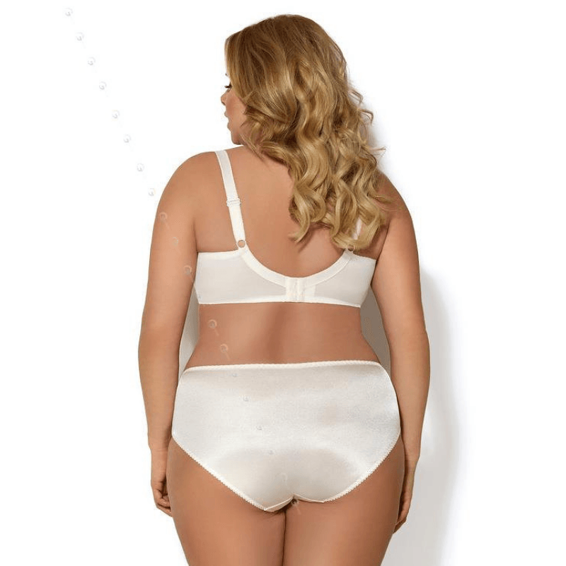 Smooth Brief Panty Gorsenia Claire - Brand My Case