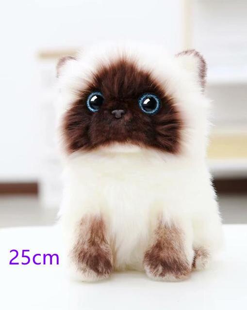 Stuffed Lifelike Siamese Cats Plush Toy simulation American Shorthair Cute Cat Doll Pet Toys Home Decor Gift For Girls birthday - Brand My Case
