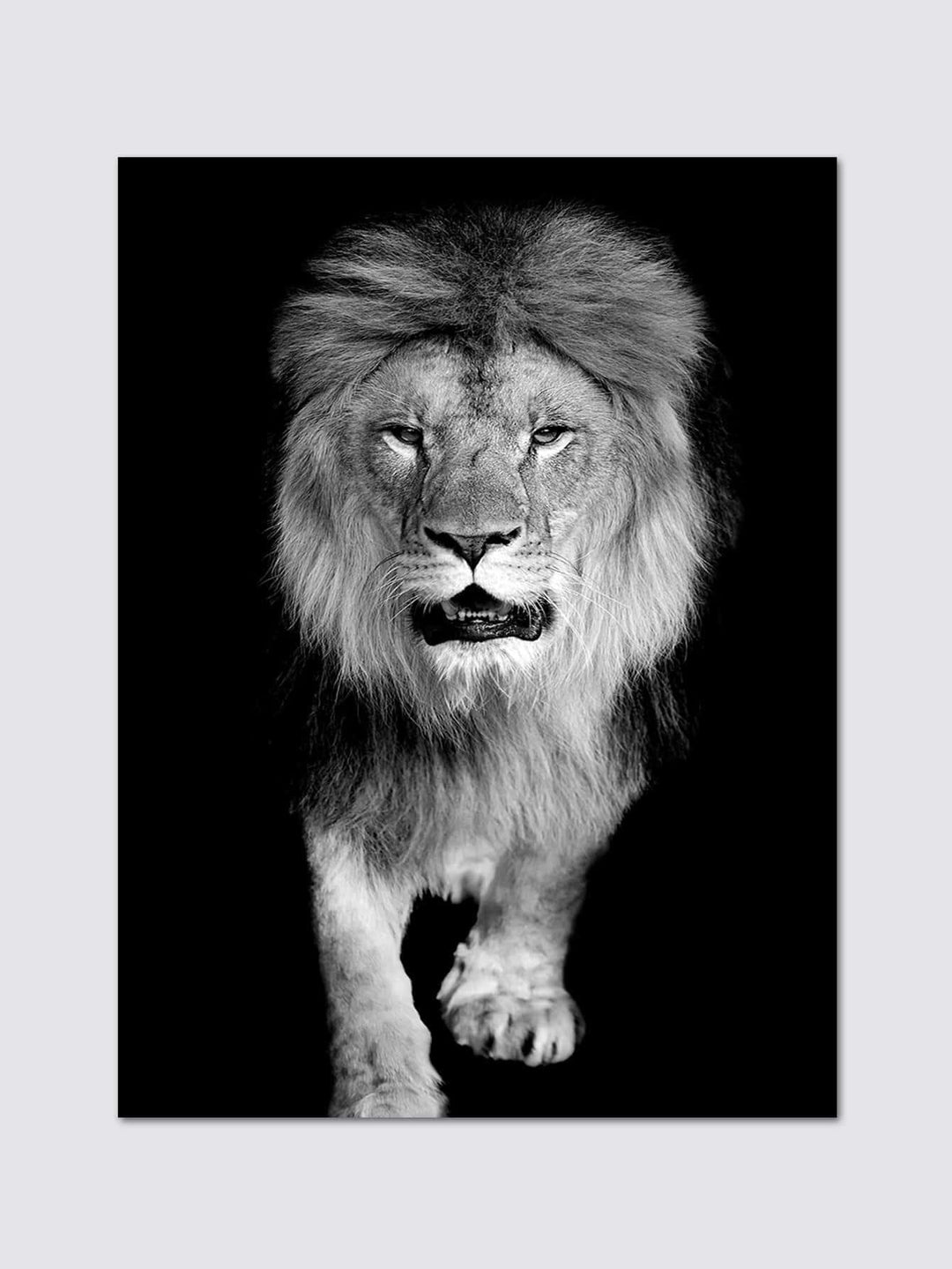 Lion Pattern Unframed Painting Poster Gift For Wall Decor - Brand My Case